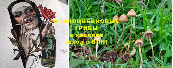 a pvp Белоозёрский