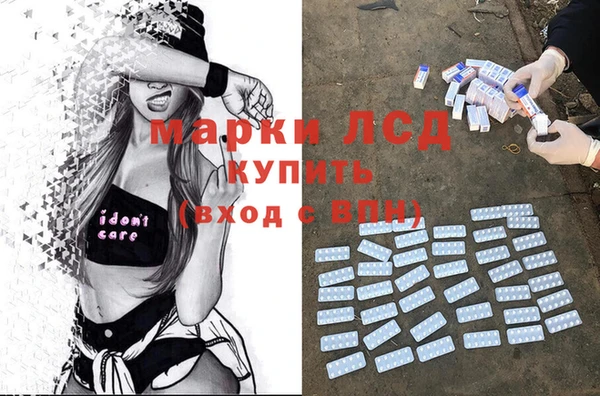 мяу мяу мука Беломорск