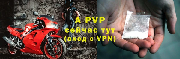 бошки Белокуриха