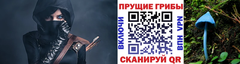 Псилоцибиновые грибы GOLDEN TEACHER  кракен как зайти  Шебекино 
